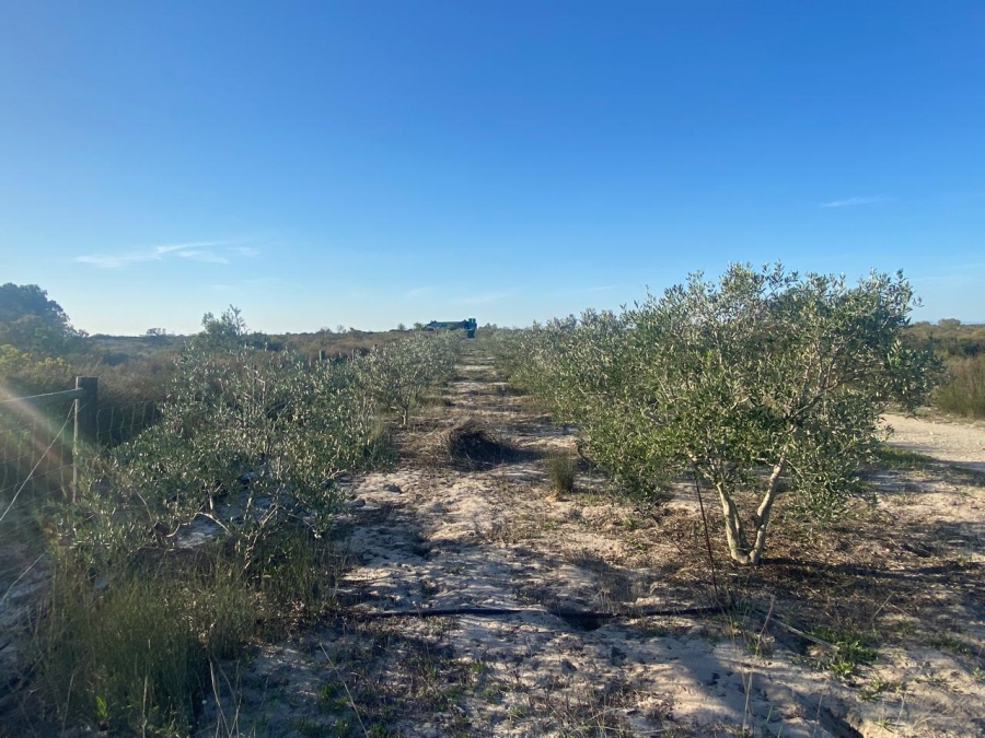 3 Bedroom Property for Sale in Hartebeesfontein Western Cape